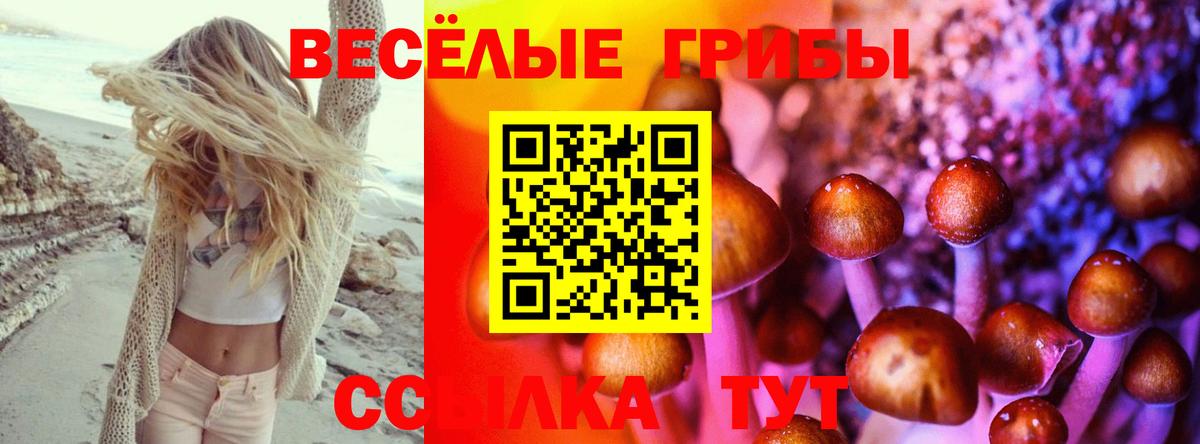 Псилоцибиновые грибы ЛСД  Вход с VPN  Галлюциногенные грибы Psilocybe  Лянтор 